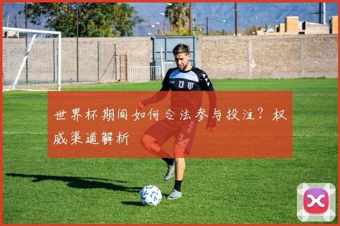 世界杯期间如何合法参与投注？权威渠道解析