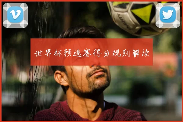 世界杯预选赛得分规则解读