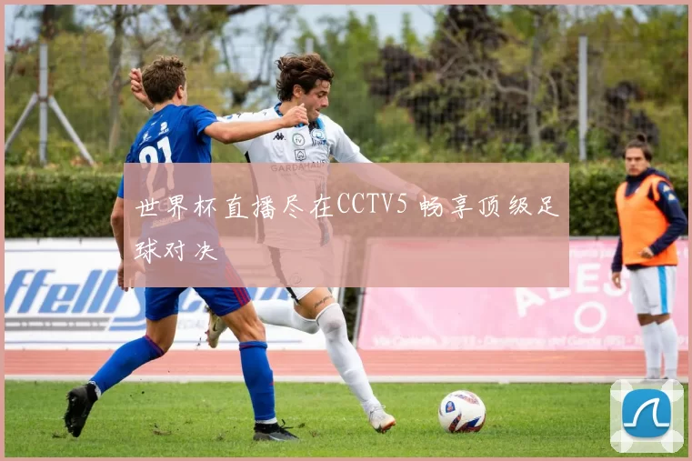 世界杯直播尽在CCTV5 畅享顶级足球对决