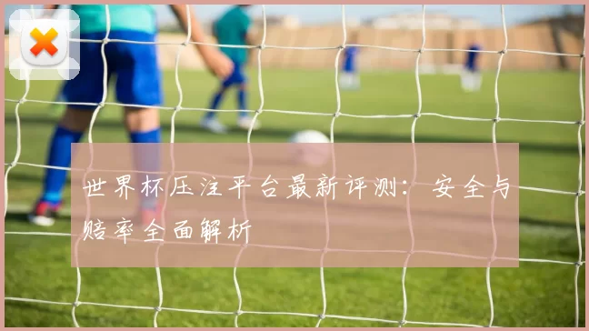 世界杯压注平台最新评测：安全与赔率全面解析