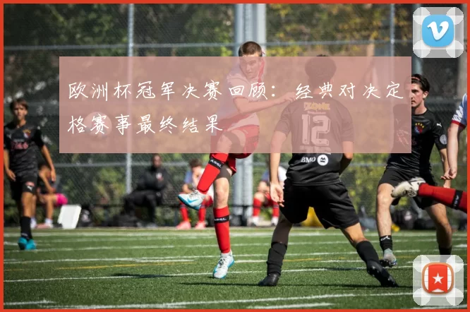 欧洲杯冠军决赛回顾：经典对决定格赛事最终结果