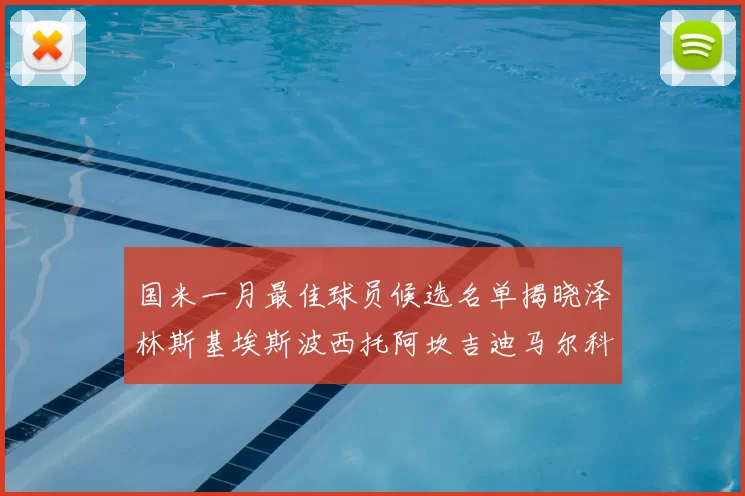 国米一月最佳球员候选名单揭晓泽林斯基埃斯波西托阿坎吉迪马尔科争夺荣誉