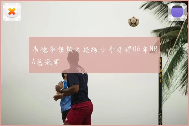 韦德率领热火逆转小牛夺得06年NBA总冠军