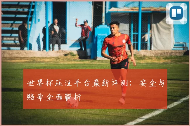 世界杯压注平台最新评测：安全与赔率全面解析
